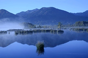 Morning mist over moorland, alpine foothills, Grundbeckenmoor marsh, Nicklheim, Bavaria Morning mist over moorland, alpine foothills, Grundbeckenmoor marsh, Nicklheim, Bavaria