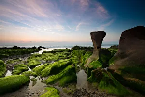 Moss cover rock in a forbidden beach in Vietnam Moss cover rock in a forbidden beach in Vietnam