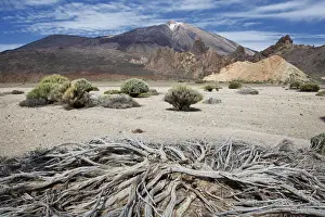 El Teide National Park Prints: Mount Teide landscape