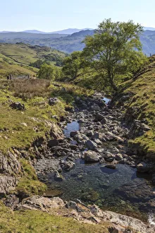 Mountain stream on the Honister Pass in Borrowdale, Lake District National Park, Cumbria Mountain stream on the Honister Pass in Borrowdale, Lake District National Park, Cumbria