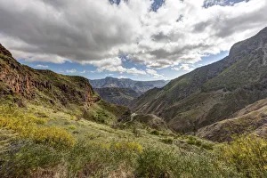 Mountains and pinewood forest Pinar de Tamadaba with Mount Pico Bandera, Galdar Region Mountains and pinewood forest Pinar de Tamadaba with Mount Pico Bandera, Galdar Region