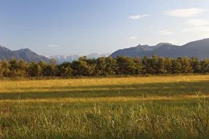 Murnauer Moos marshland, Murnau, Blaues Land region, Upper Bavaria, Bavaria, Germany Murnauer Moos marshland, Murnau, Blaues Land region, Upper Bavaria, Bavaria, Germany