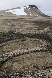 Natural stone circles caused by cryoturbation (aka frost churning), Arctic desert habitat Natural stone circles caused by cryoturbation (aka frost churning), Arctic desert habitat