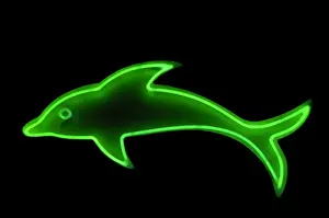 Prints of outline Images Dated 2006 June: Fine Art Storehouse Neon Dolphin Outline Print