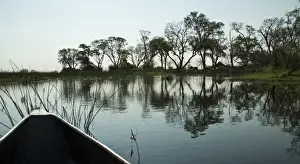 Okavango Delta Landscape Photos Prints: The Okavango Delta