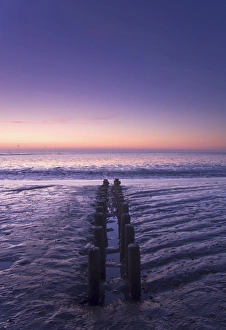 Old wooden groyne in the Wadden Sea, North Sea, Spieka-Neufeld, Lower Saxony, Germany Old wooden groyne in the Wadden Sea, North Sea, Spieka-Neufeld, Lower Saxony, Germany