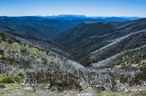 Overlooking the Victorian Alps mountain range, Victoria, Australia Overlooking the Victorian Alps mountain range, Victoria, Australia
