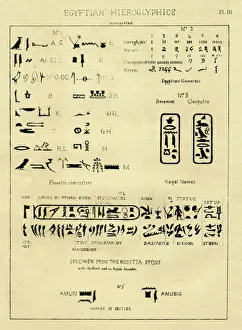 Digital vision vectors/palaeography art/palaeography egyptian hieroglyphics interpreted Digital vision vectors/palaeography art/palaeography egyptian hieroglyphics interpreted