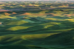 Palouse hills at sunset, Washington State, USA Palouse hills at sunset, Washington State, USA