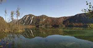 Panorama, autumn at Almsee lake, with a reflection in the lake, Gruenau im Almtal Panorama, autumn at Almsee lake, with a reflection in the lake, Gruenau im Almtal