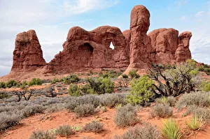 Parade of Elephants, rock formation of red sandstone, Arches National Park, Moab, Utah Parade of Elephants, rock formation of red sandstone, Arches National Park, Moab, Utah