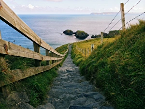 Path leading to Carrick-a-rede rope bridge Path leading to Carrick-a-rede rope bridge