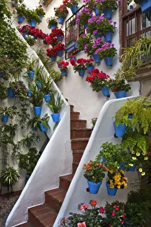 Patio decorated for Cordoba Patio Festival Patio decorated for Cordoba Patio Festival