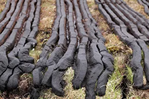 Peat cutting, Connemara, County Galway, Republic of Ireland, Europe Peat cutting, Connemara, County Galway, Republic of Ireland, Europe