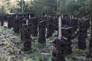 Peat drying, peat cutting, peat bog, Nicklheimer Moor, between Raubling and Bad Feilnbach Peat drying, peat cutting, peat bog, Nicklheimer Moor, between Raubling and Bad Feilnbach