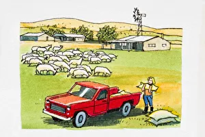 Person loading sacks into pickup truck, sheep grazing nearby, farm buildings Person loading sacks into pickup truck, sheep grazing nearby, farm buildings