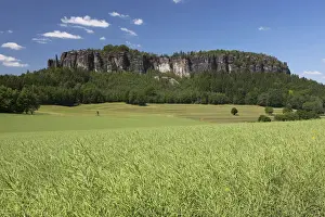 Elbe Sandstone Mountains Saxony Prints: Pfaffenstein low table mountain, Elbe Sandstone Mountains, Saxony, Germany, Europe