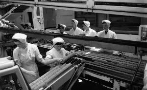 Female Workers In Factories Prints: Bakery Workers