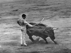 Bullfighting Spain Prints: Carrida