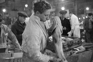 Billingsgate Fish Market Prints: Checking The Cod