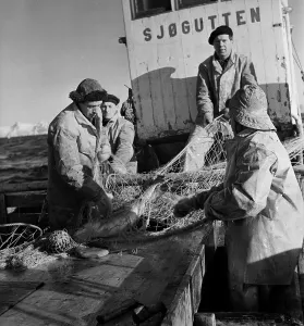 Vintage Boat Photography Prints: Codfish Trawling