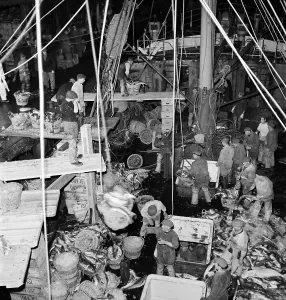 Fishing Industry In England Prints: Grimsby Docks