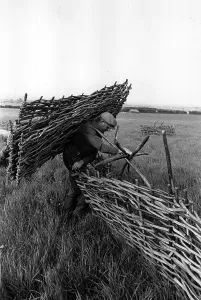 England Countryside Scene Prints: Heavy Load