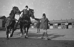 WW2 Women In Uniform Prints: Horse Training