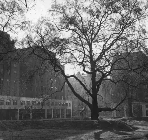 Kurt Hutton Photographer Prints: Berkeley Square