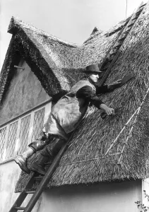 Traditional Roofing Techniques Prints: Thatching Display
