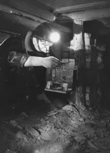 Mining Industry Equipment Prints: Miner Does Test