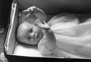 Black And White Baby Photos Prints: Under Observation