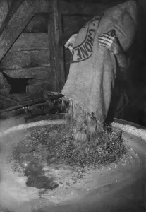 Brewery Worker Prints: Pub Brewery