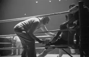 British Sportsmen Prints: In The Ring