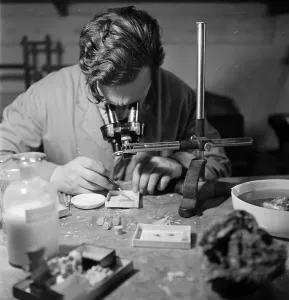 Scientific Research Images Prints: Nothing Too Small