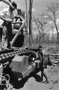 Agricultural Machinery Images Prints: Tractor Driver