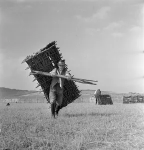 England Countryside Prints: Unending Task