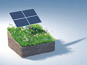 Piece of land with a solar panel and a flowering meadow, illustration Piece of land with a solar panel and a flowering meadow, illustration