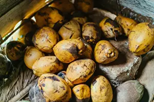 UNESCO World Heritage Sites In Cuba Prints: Pile of Coconuts in Vinales, Cuba