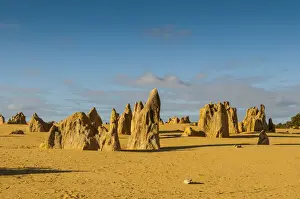 Australian Desert Landscape Prints: The Pinnacles limestone formations, Nambung National Park, Western Australia