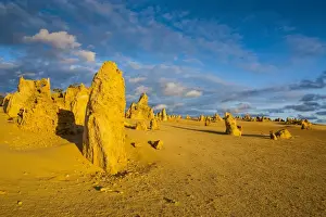 Australian Desert Landscape Prints: The Pinnacles limestone formations, Nambung National Park, Western Australia
