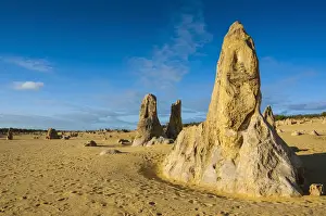 Australian Desert Landscape Prints: The Pinnacles limestone formations, Nambung National Park, Western Australia