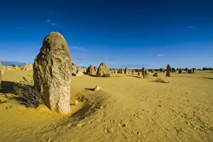 Australian National Parks Tourism Prints: The Pinnacles limestone formations, Nambung National Park, Western Australia