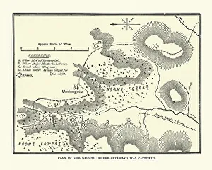 Plan of Ngome forest showing where Cetshwayo was captured Plan of Ngome forest showing where Cetshwayo was captured