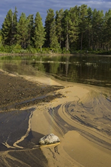 Pollen form patterns in the Saggat Lake near the island of Arrenjarka, Kvikkjokk, Norrbotten County, Sweden Pollen form patterns in the Saggat Lake near the island of Arrenjarka, Kvikkjokk, Norrbotten County, Sweden