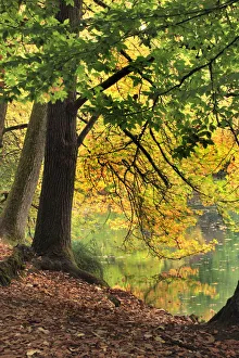 Pond at Laurelhurst Park, Portland, Oregon, USA Pond at Laurelhurst Park, Portland, Oregon, USA
