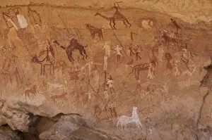 Related Images Collection: Prehistoric petroglyphs in libian sahara desert