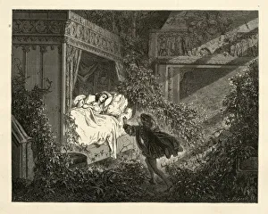 The prince discovering Sleeping Beauty, Perrault's Fairy Tales The prince discovering Sleeping Beauty, Perrault's Fairy Tales