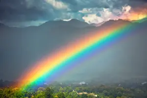 Rainbow After the Rain Tropical Print