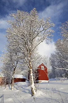 Red wooden house in winter, Tromso, Norway, Europe Red wooden house in winter, Tromso, Norway, Europe